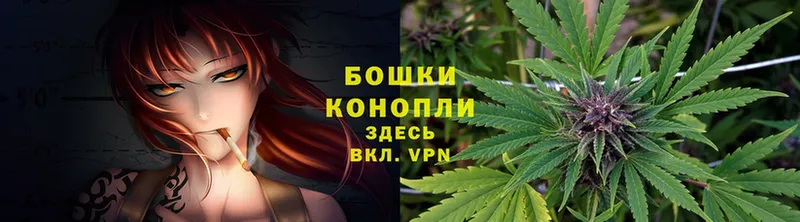 Марихуана OG Kush  Буйнакск 